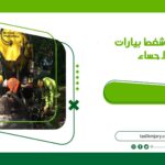 شركة شفط بيارات بالاحساء